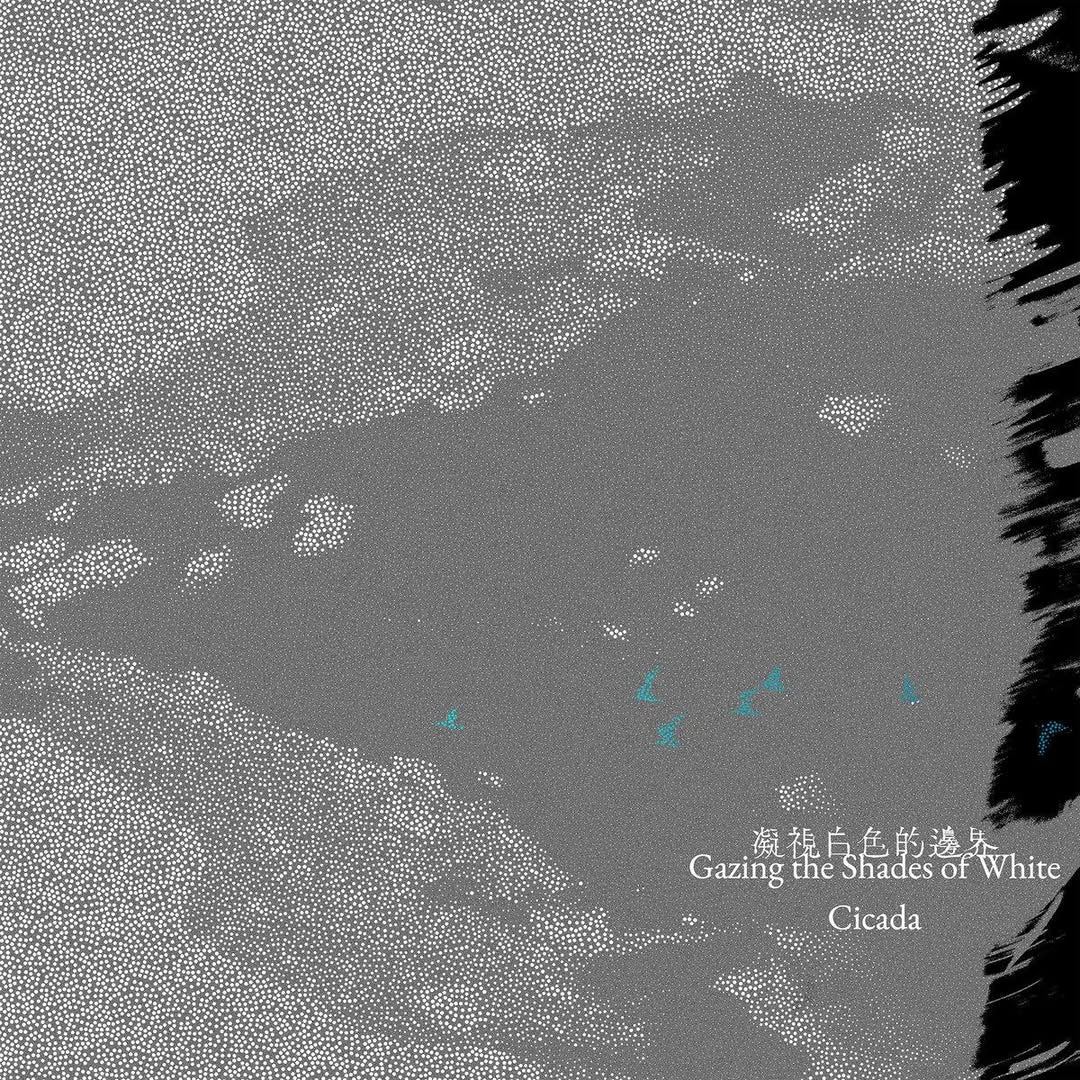 【CD】Cicada《凝視白色的邊界》