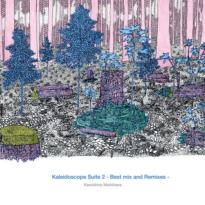 日版黑膠】西原健一郎 Kenichiro Nishihara《Kaleidoscope Suite 2