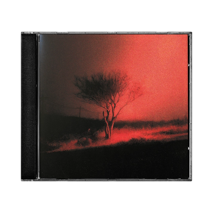 【CD】Joji《Piss In The Wind》