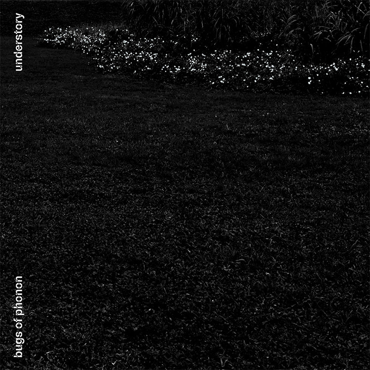 【CD】聲子蟲 Bugs of Phonon《真面目 Understory》後搖