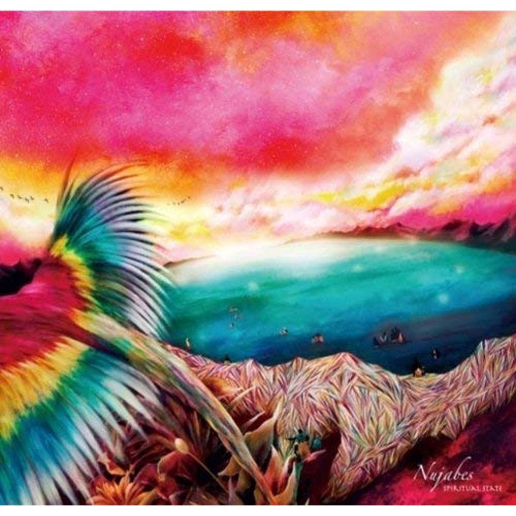 【日版CD】Nujabes《spiritual state》