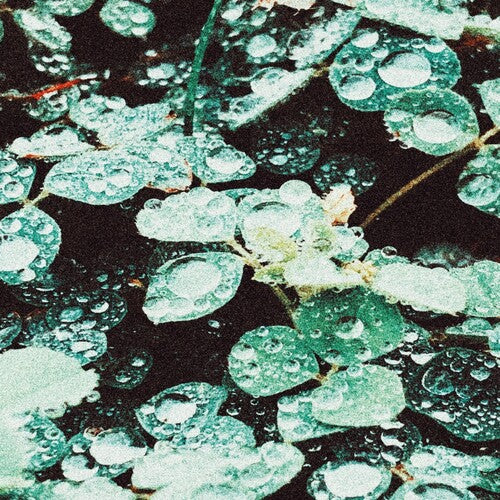【CD】Sadness《Rain Chamber》