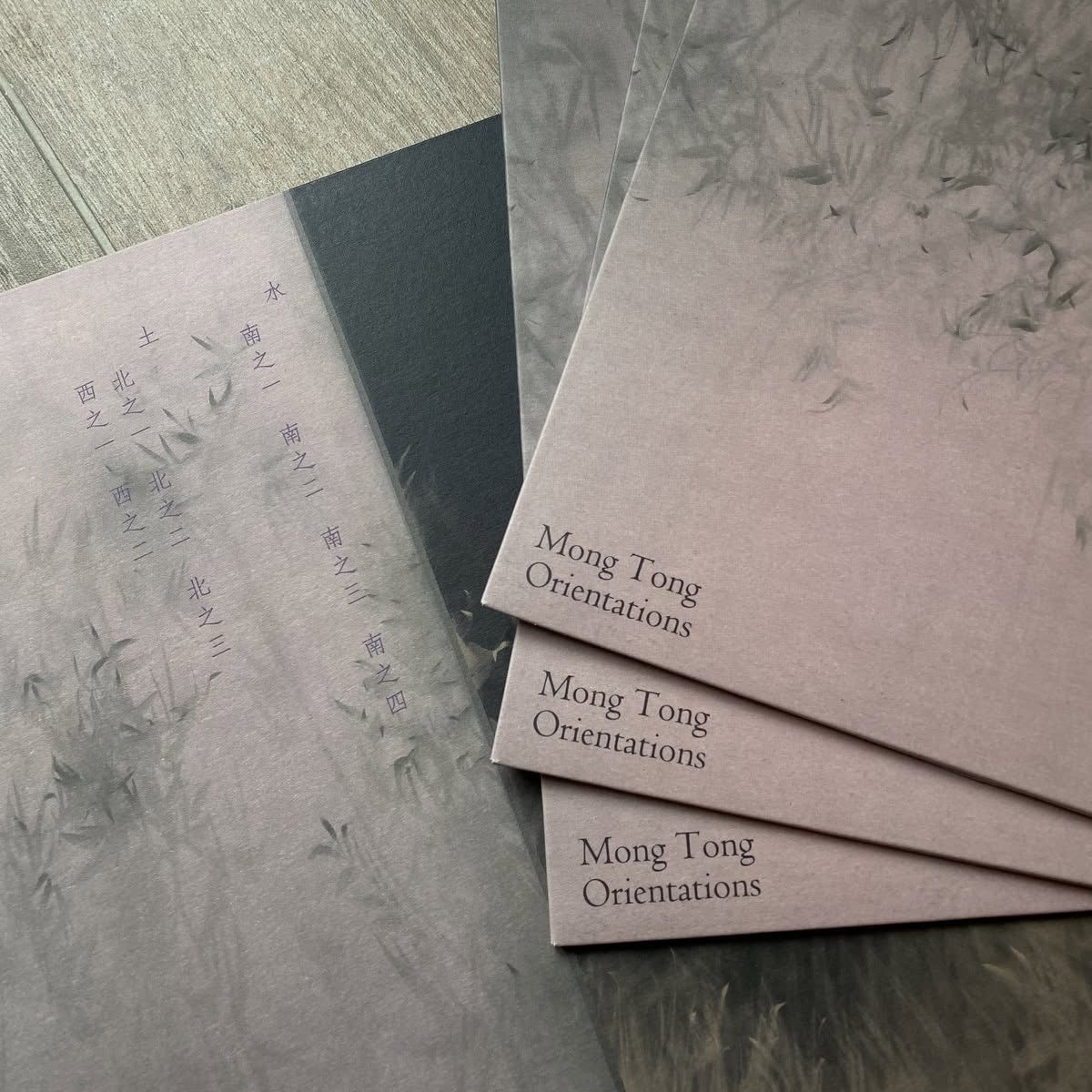 【黑膠】Mong Tong 夢東《Orientations 向位》