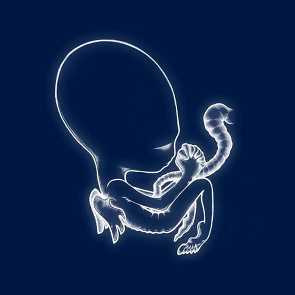 【黑膠】Sigur Rós《Ágætis Byrjun》