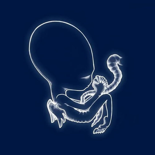 【黑膠】Sigur Rós《Ágætis Byrjun》
