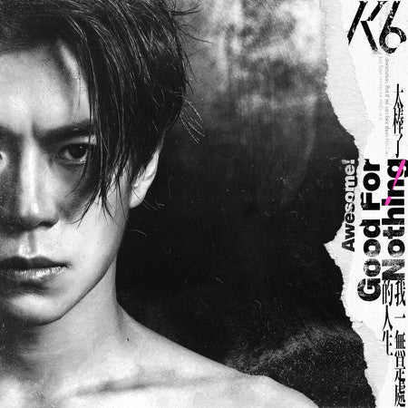 【CD】K6劉家凱《太棒了! 我一無是處的人生》