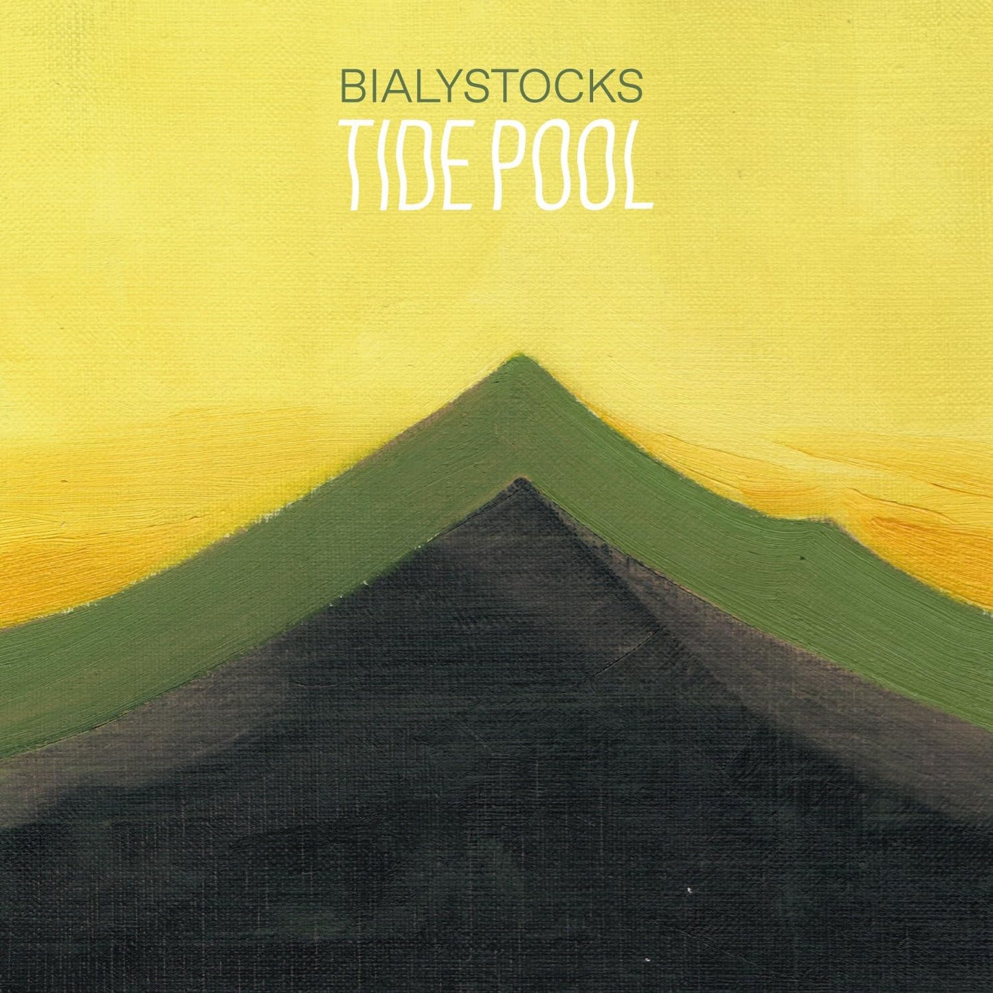 【日版黑膠】Bialystocks《Tide Pool》180g