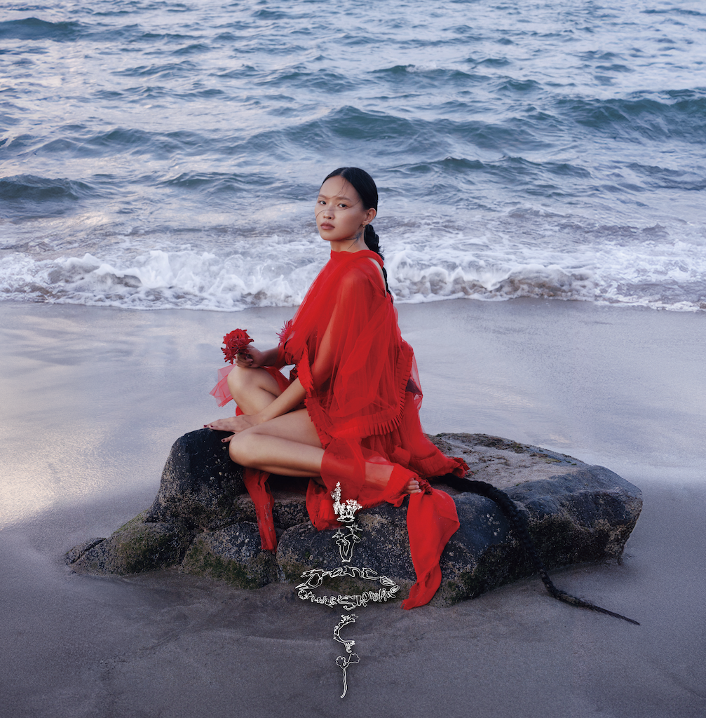 【日版黑膠】LÜCY《夢の浜辺で踊るとき Dance on the Shoreline》彩膠