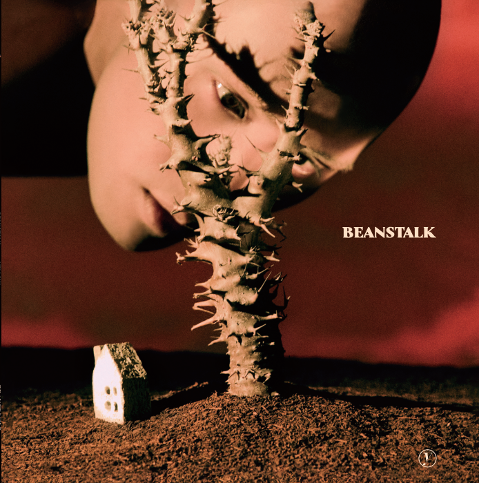 【日版黑膠】YELLOW 黃宣 《BEANSTALK》