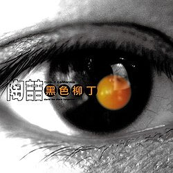 【CD】陶喆《黑色柳丁》