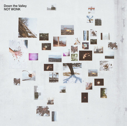 【日版CD】NOT WONK《Down the Valley》