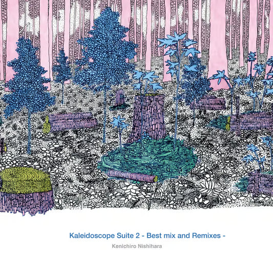 【日版黑膠】西原健一郎 Kenichiro Nishihara《Kaleidoscope Suite 2》
