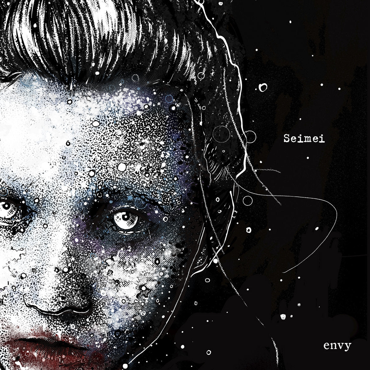 【日版CD】envy《Seimei》
