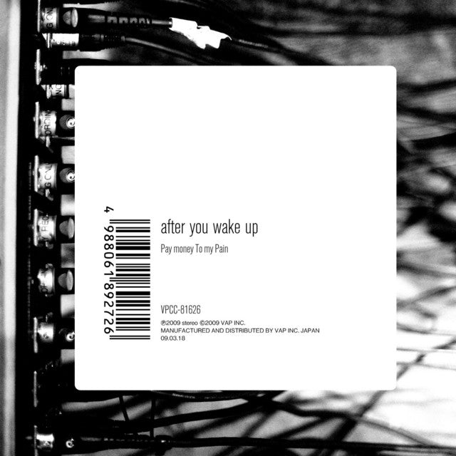 【日版CD】Pay money To my Pain《after you wake up》