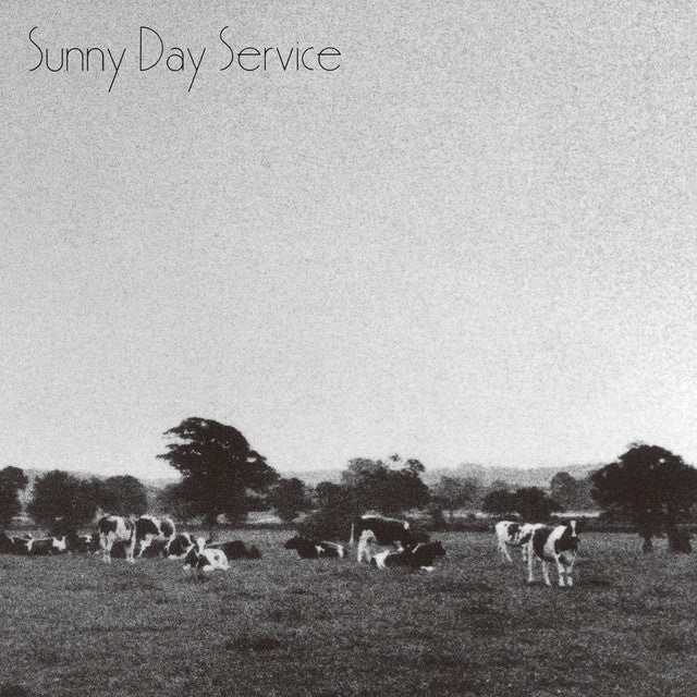 【日版CD】サニーデイ・サービス《Sunny Day Service》Sunny Day Service