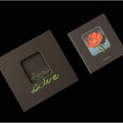 【CD】椅子樂團The Chairs《Real Love Is...》精裝版 巴黎德州