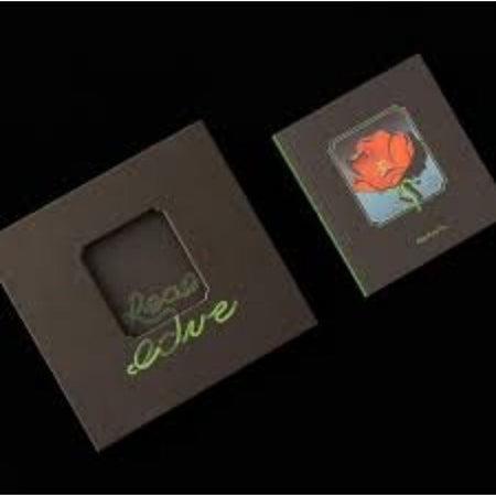 【CD】椅子樂團The Chairs《Real Love Is...》精裝版 巴黎德州