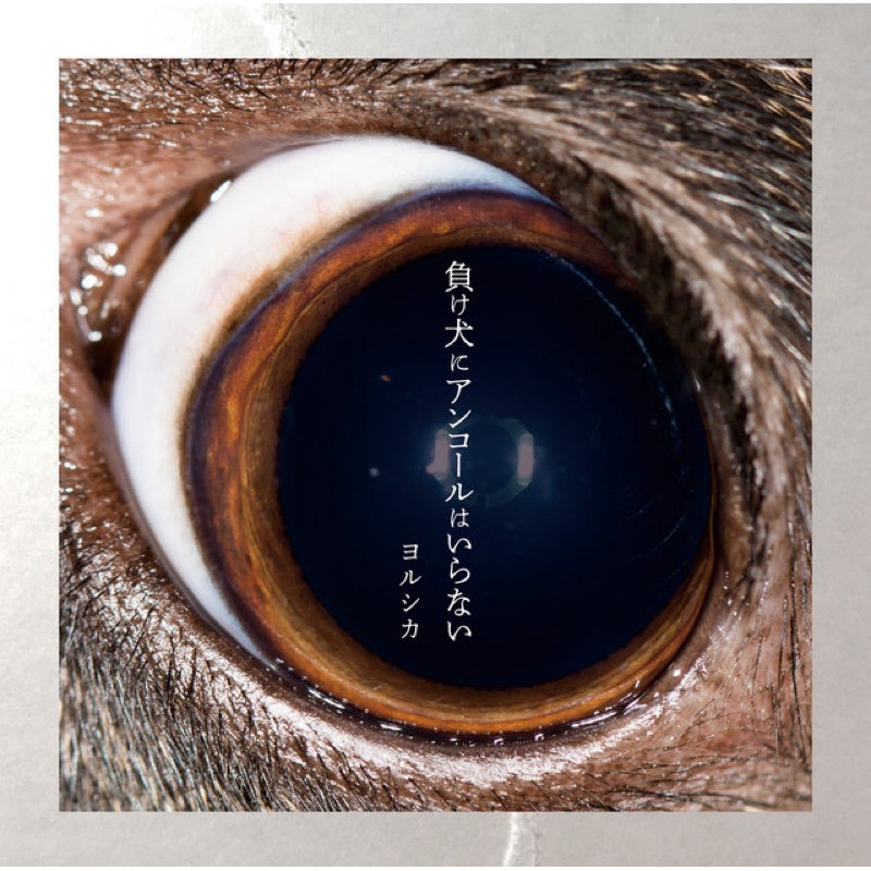 【日版CD】ヨルシカ Yorushika《負け犬にアンコールはいらない》