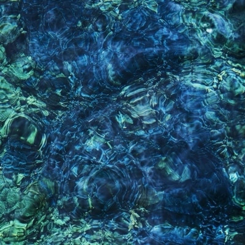 【CD】青葉市子 Ichiko Aoba《Luminescent Creatures》