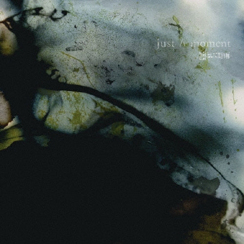 【日版CD】凛として時雨《just A moment》